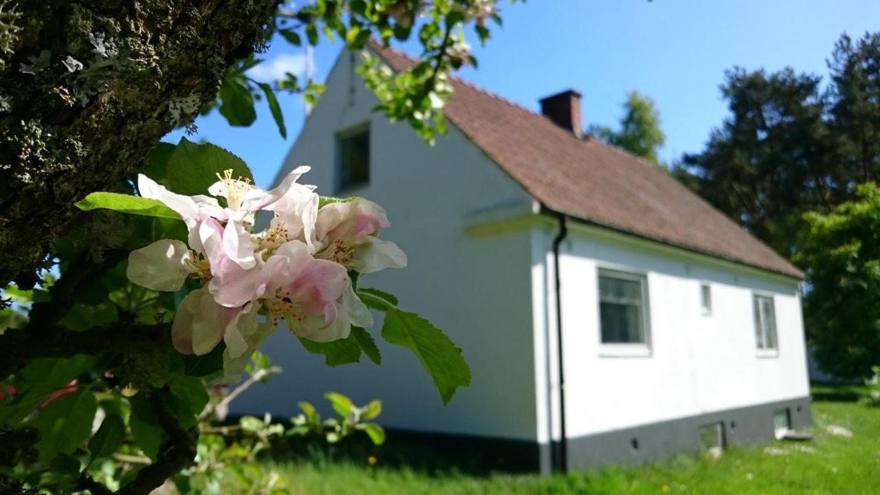 Oesterlencharm Löderup المظهر الخارجي الصورة