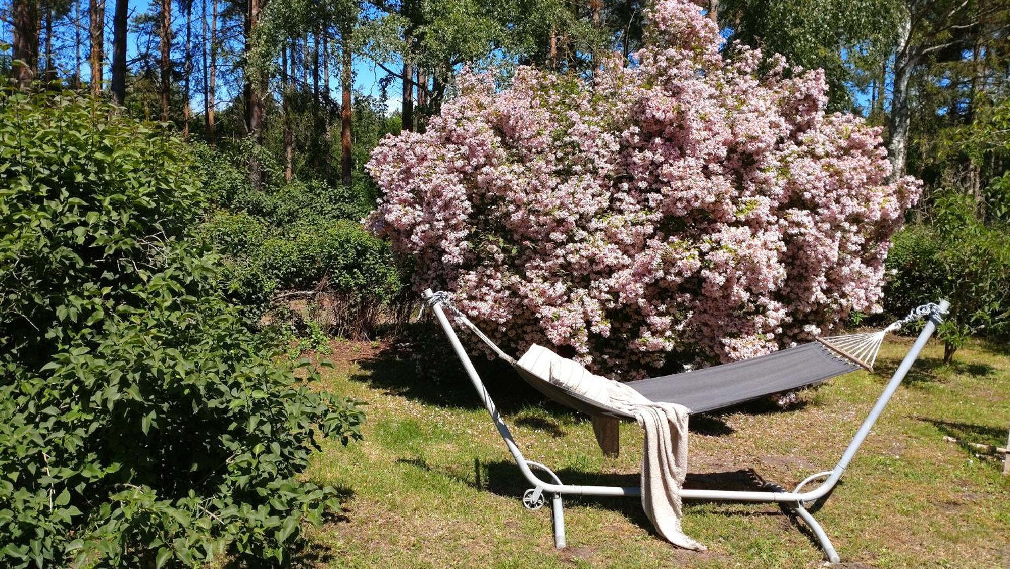 Oesterlencharm Löderup المظهر الخارجي الصورة